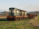 770052b.jpg