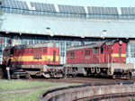 770061a.jpg