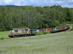 770531b.jpg