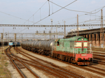 770536d.jpg