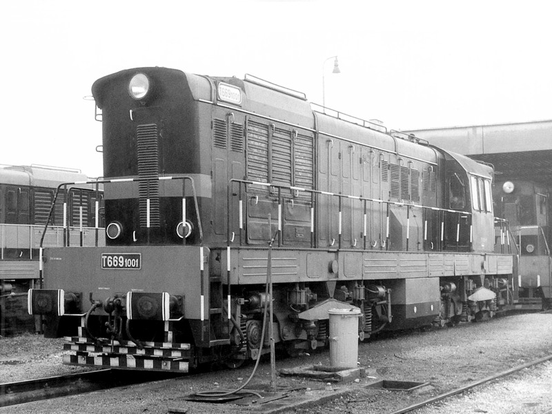 [800x600] 771001d.jpg