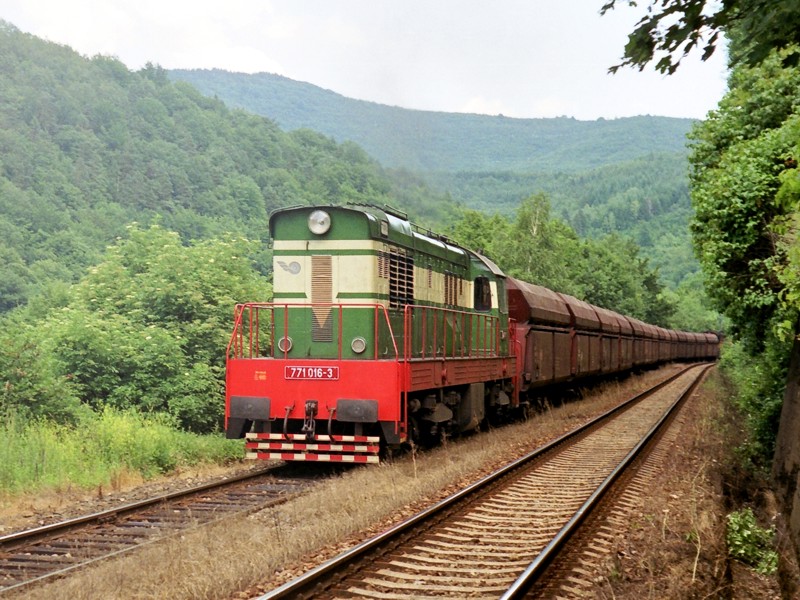 [800x600] 771016b.jpg