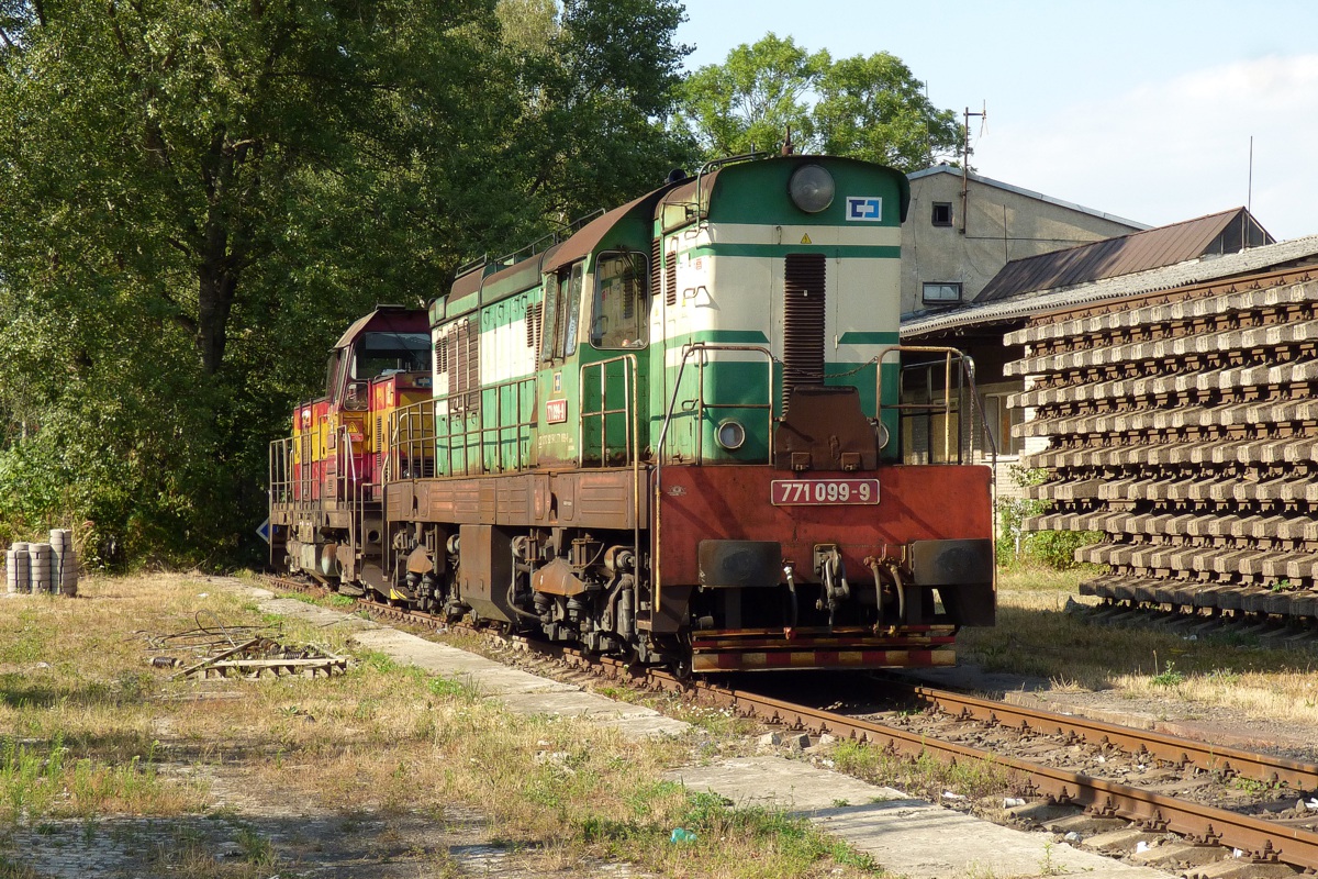 [1200x800] 771099b.jpg