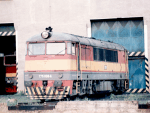 775008a.jpg