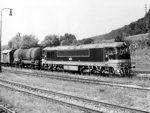 775008d.jpg