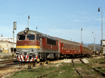 775008f.jpg
