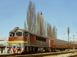 775008g.jpg