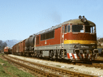775008j.jpg