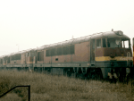775009a.jpg
