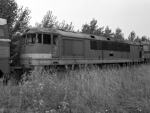 775009d.jpg