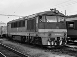 775009e.jpg