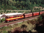 775010a.jpg