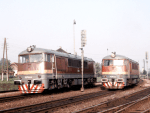 775010d.jpg