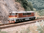 775010g.jpg