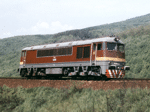 775010i.jpg