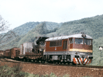 775010j.jpg