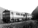 775010m.jpg