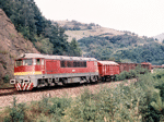 775012f.jpg