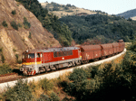 775012g.jpg