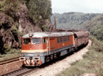 775012i.jpg
