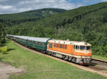 775012n.jpg