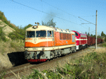 775012p.jpg