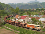 775012w.jpg