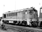 776010a.jpg