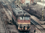 776014d.jpg