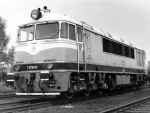 776015r.jpg