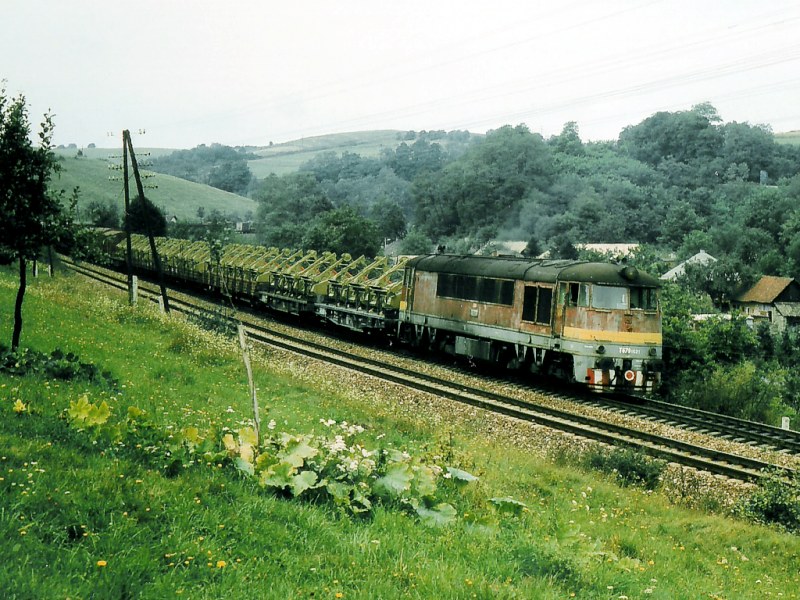 [800x600] 776021c.jpg