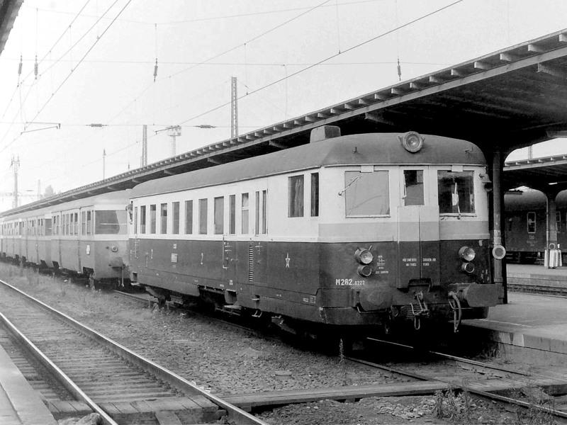 [800x600] 830222a.jpg