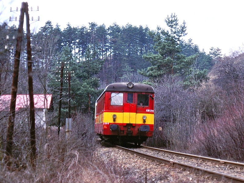 [800x600] 830230c.jpg