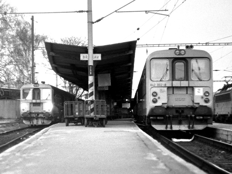 [800x600] 842002e.jpg