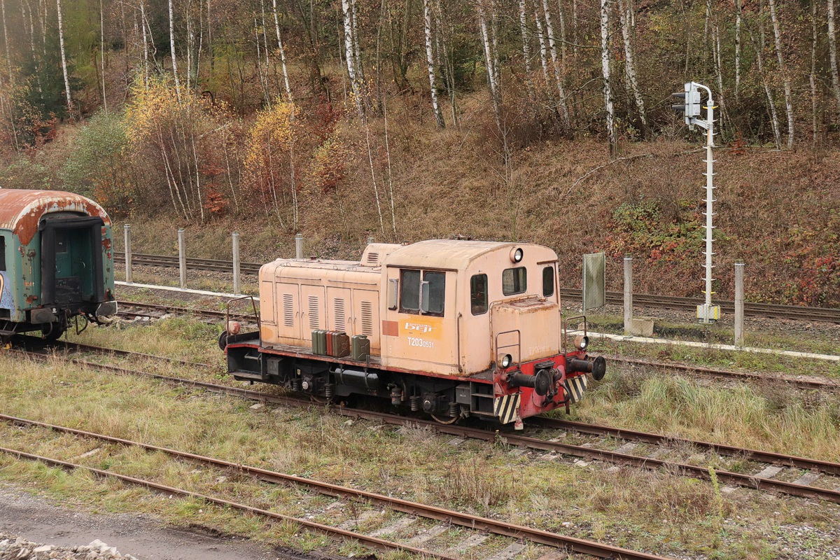 [1200x800] T2030531b.jpg