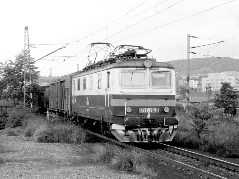 [800x600] 121019d.jpg