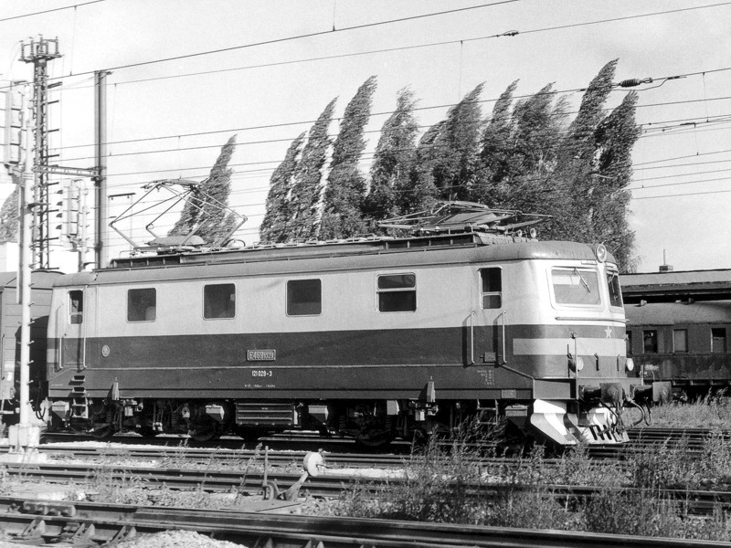 [800x600] 121029c.jpg