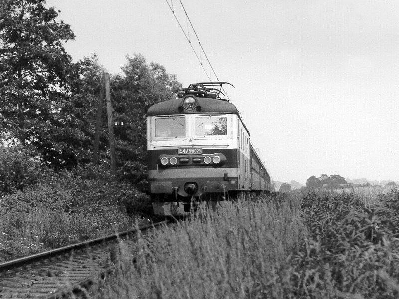 [800x600] 130029a.jpg