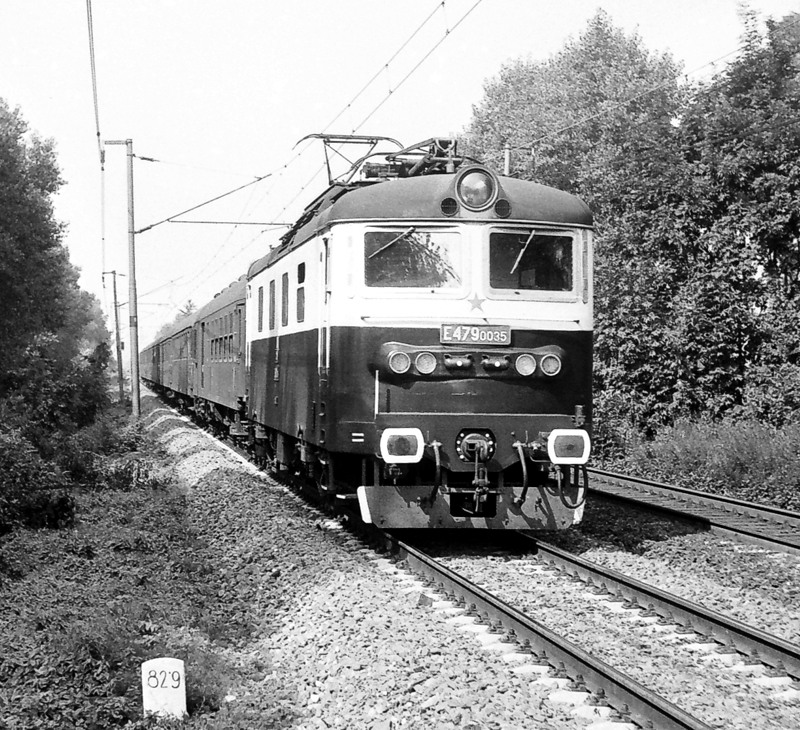 [800x730] 130035d.jpg