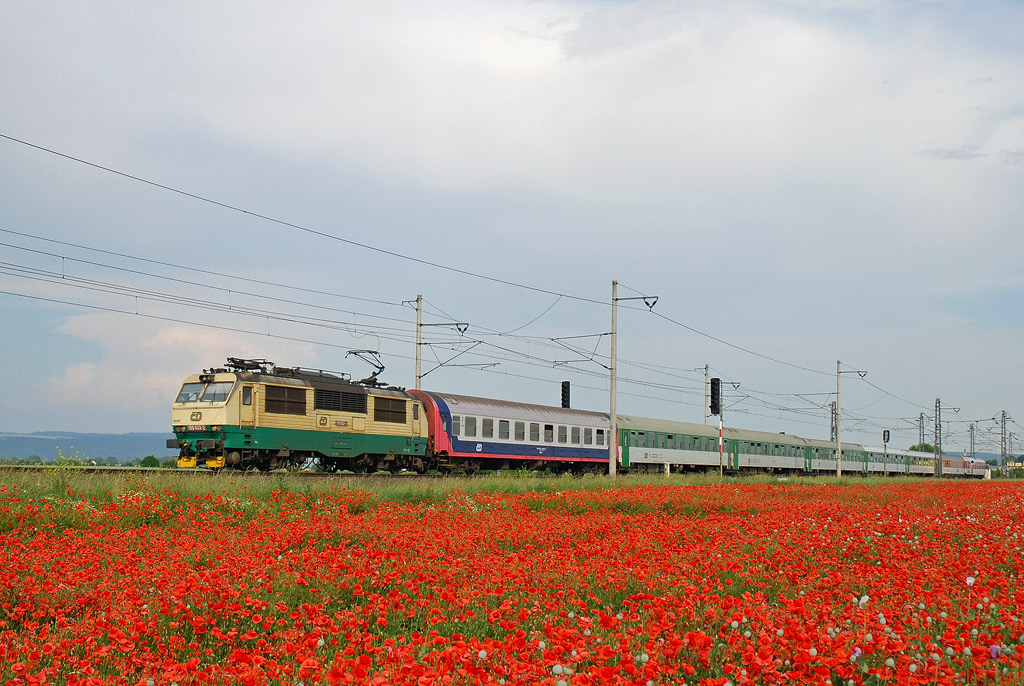 [1024x686] 150022l.jpg