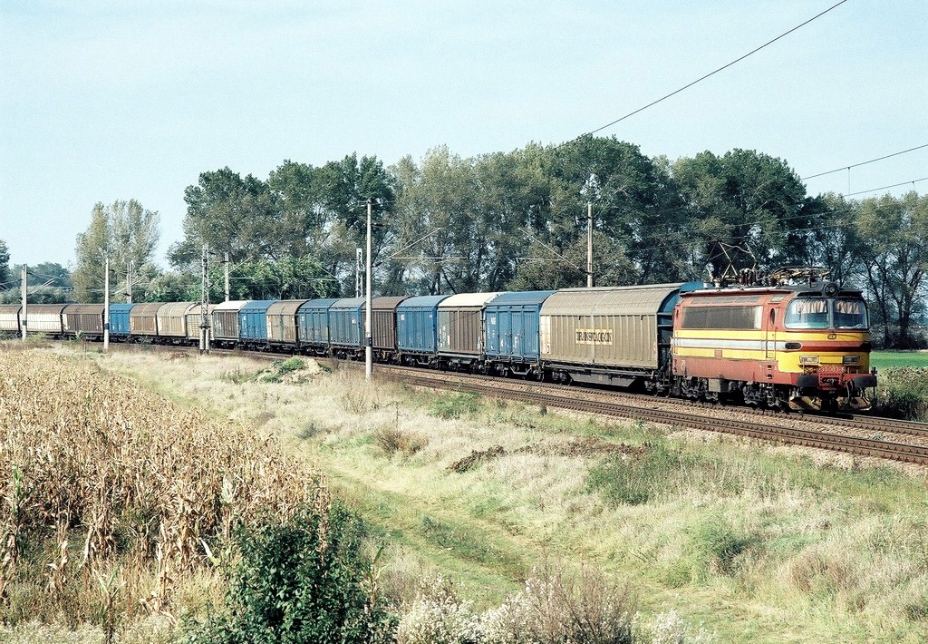 [1024x710] 230003b.jpg