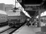 350020n.jpg