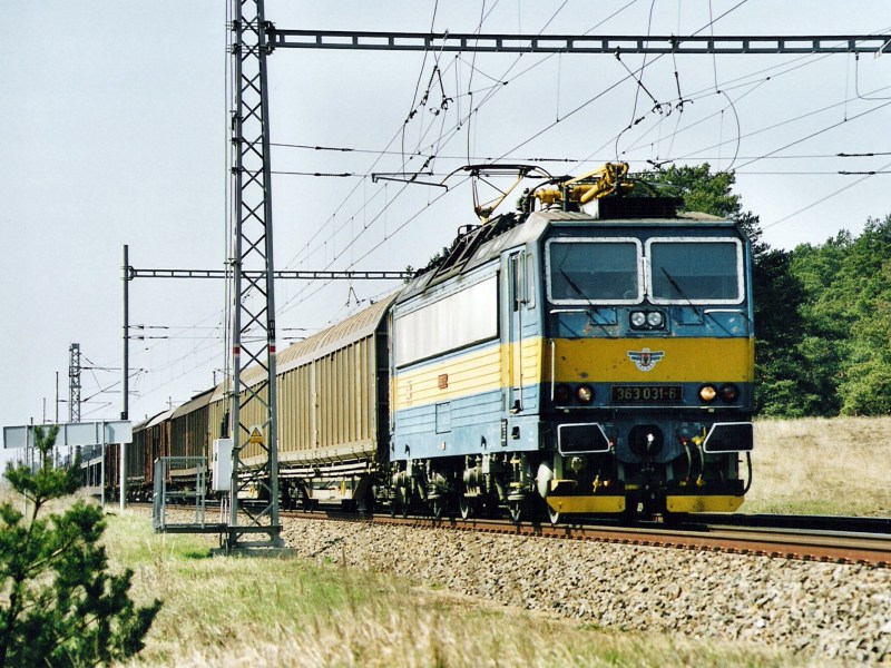 [800x600] 363031a.jpg