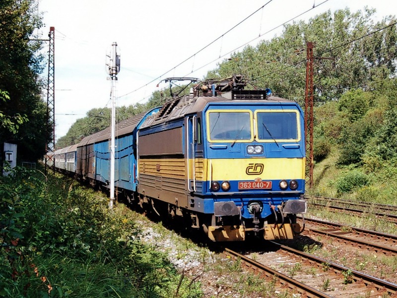 [800x600] 363040b.jpg