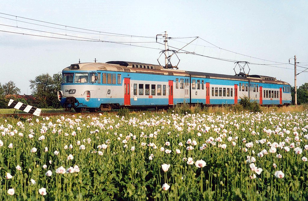 [1024x670] 451018b.jpg