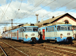 451037d.jpg