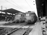 451081c.jpg