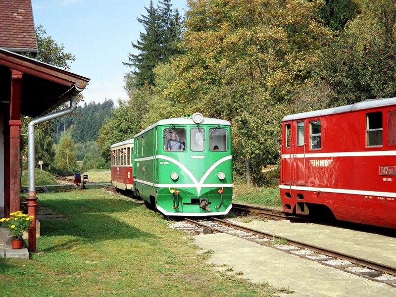 [800x600] 705905c.jpg