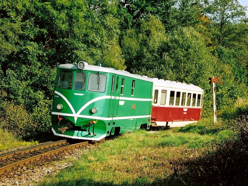 [800x600] 705905l.jpg