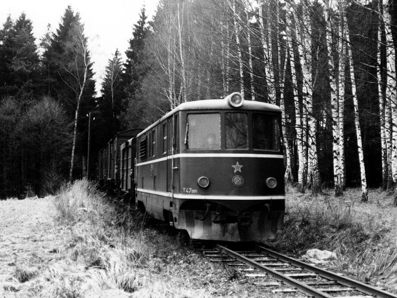 [800x600] 705905o.jpg